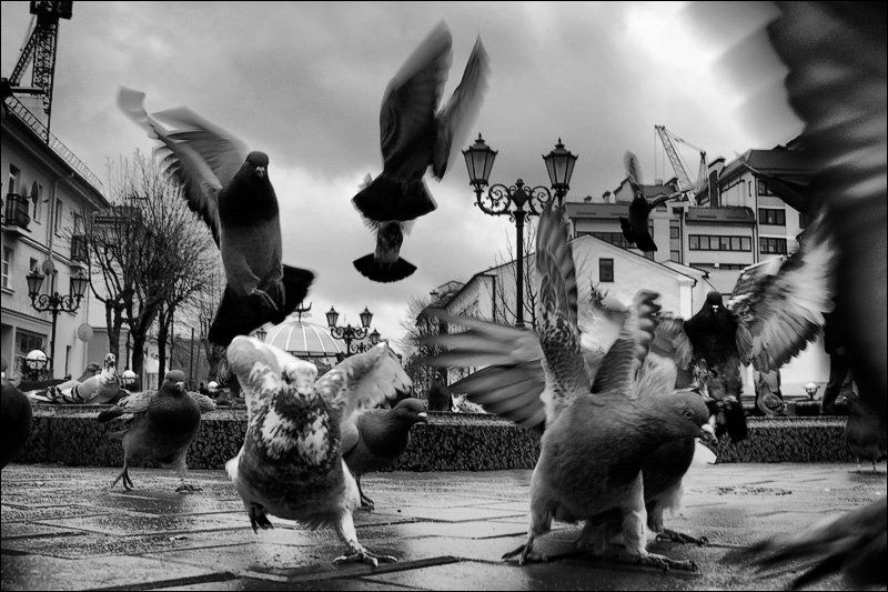 нашествие фото превью