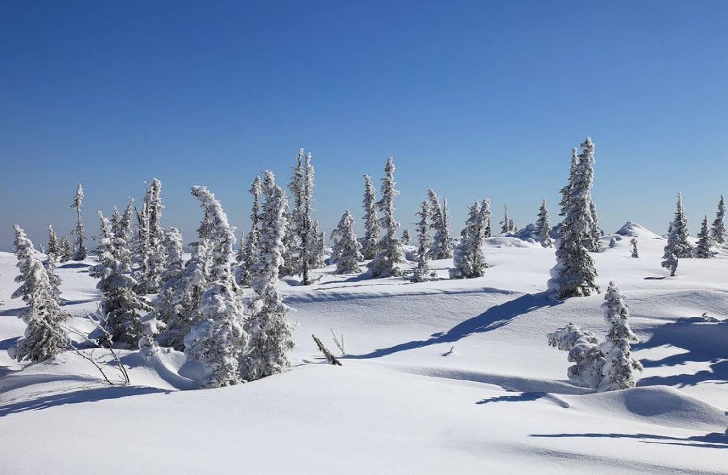 зима, горы, шерегеш, allegria