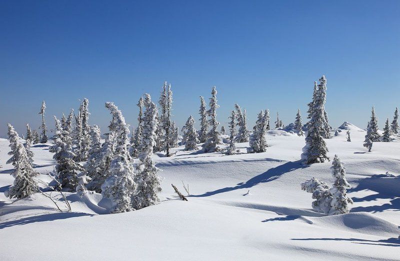 зима, горы, шерегеш *** фото превью