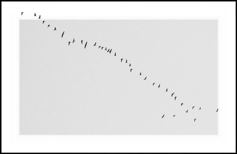 __ключ__ фото превью