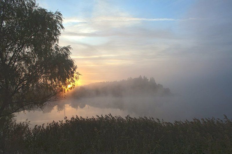 рассвет, восход солнца, туман Туманное утро фото превью