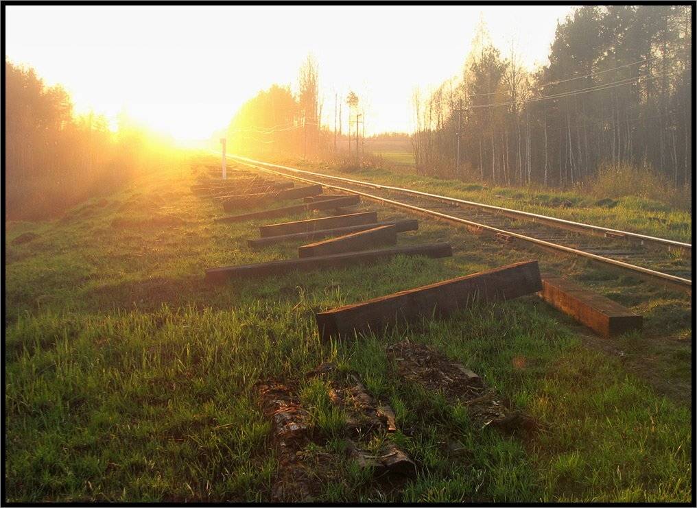 , Лунный Ежик