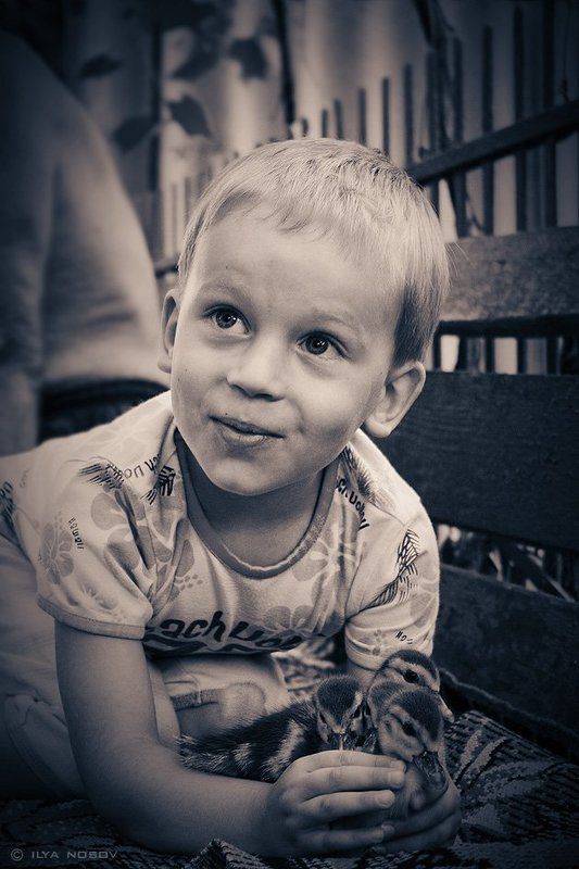 Мальчик с утятами фото превью