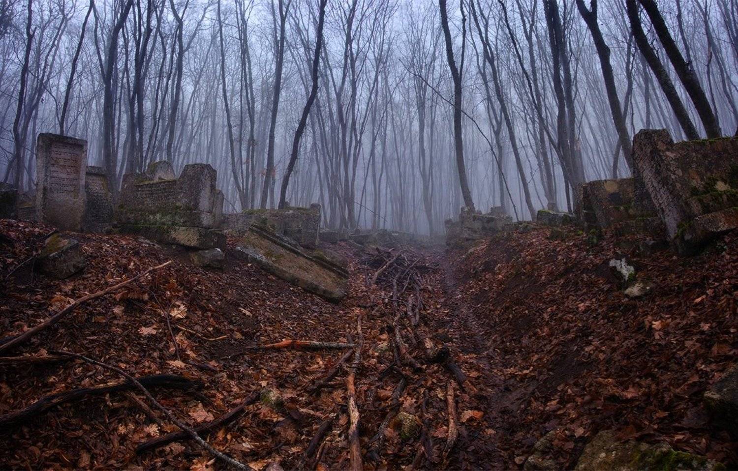 , Kolebidenko Vladimir