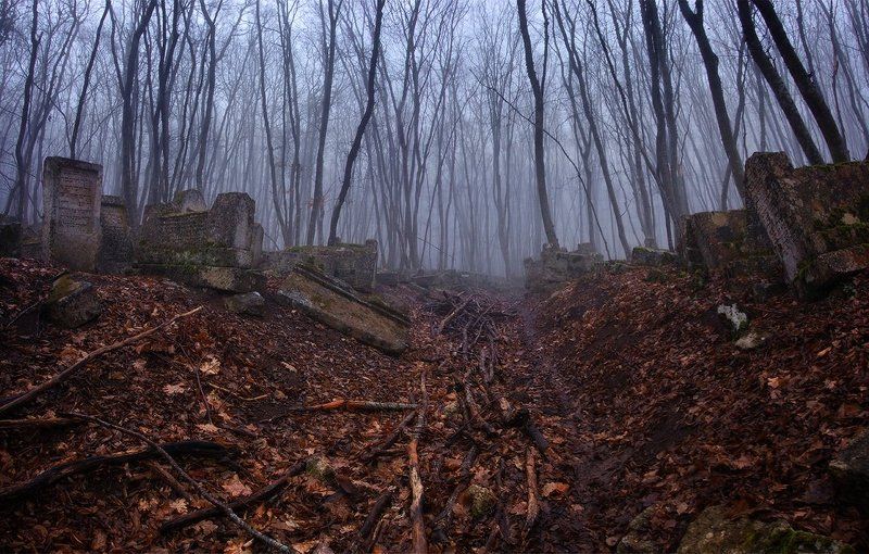 Балта-Тиймез 2 фото превью