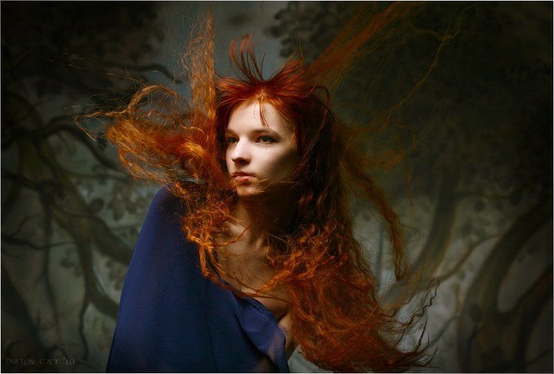 девушка, лес, студия, волосы Таинственный лес фото превью