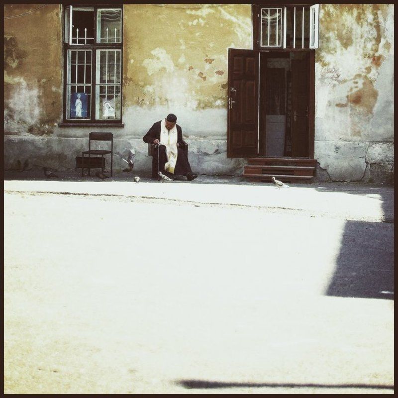 __осень патриарха__ фото превью