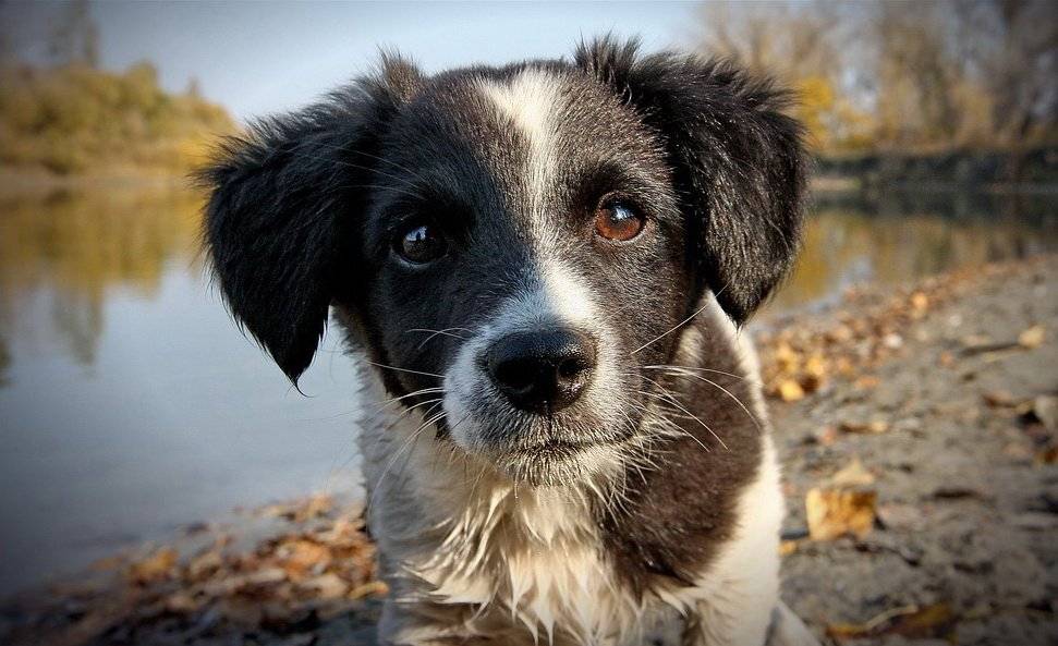 , Васенин Валерий