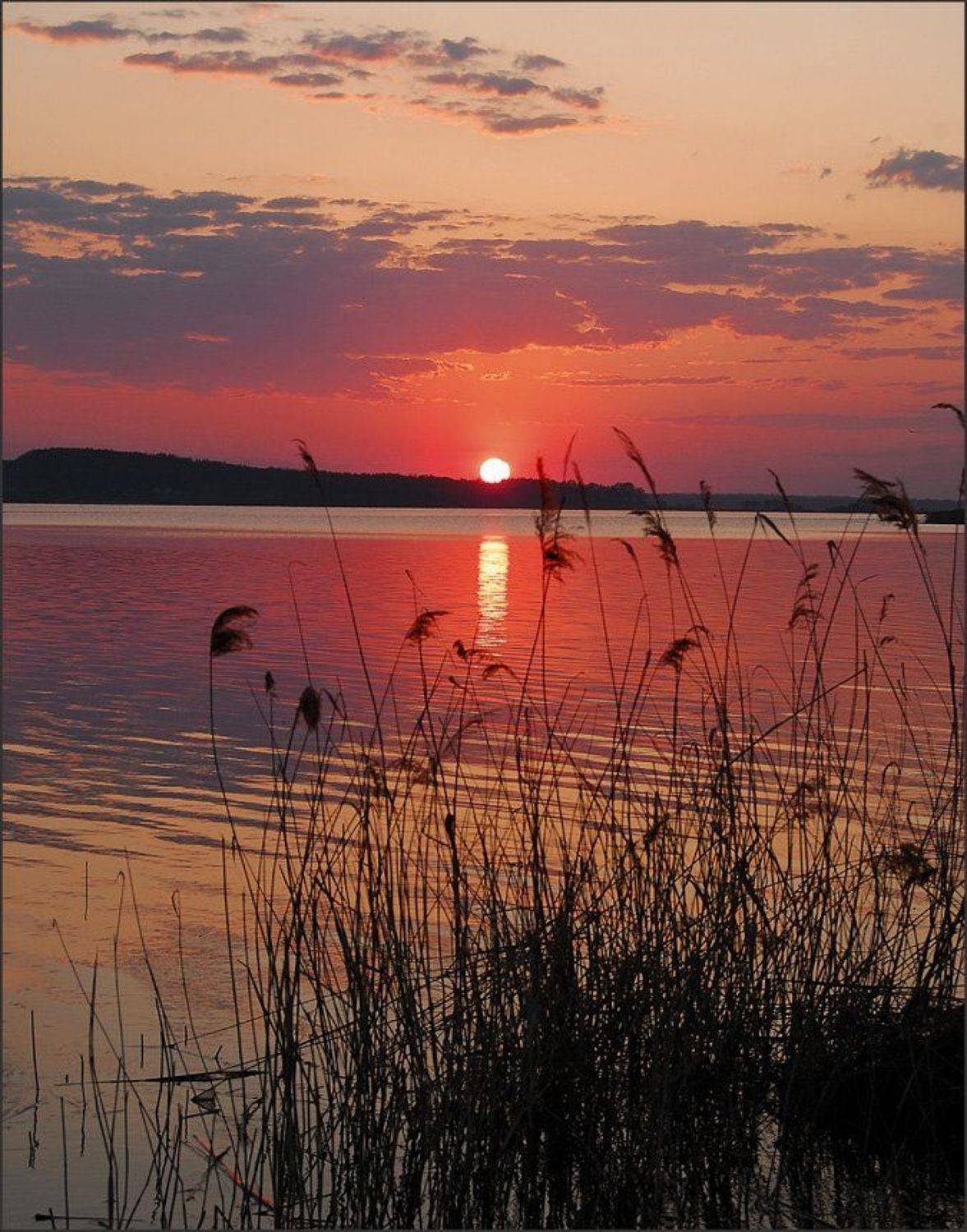 удмуртия, Данил