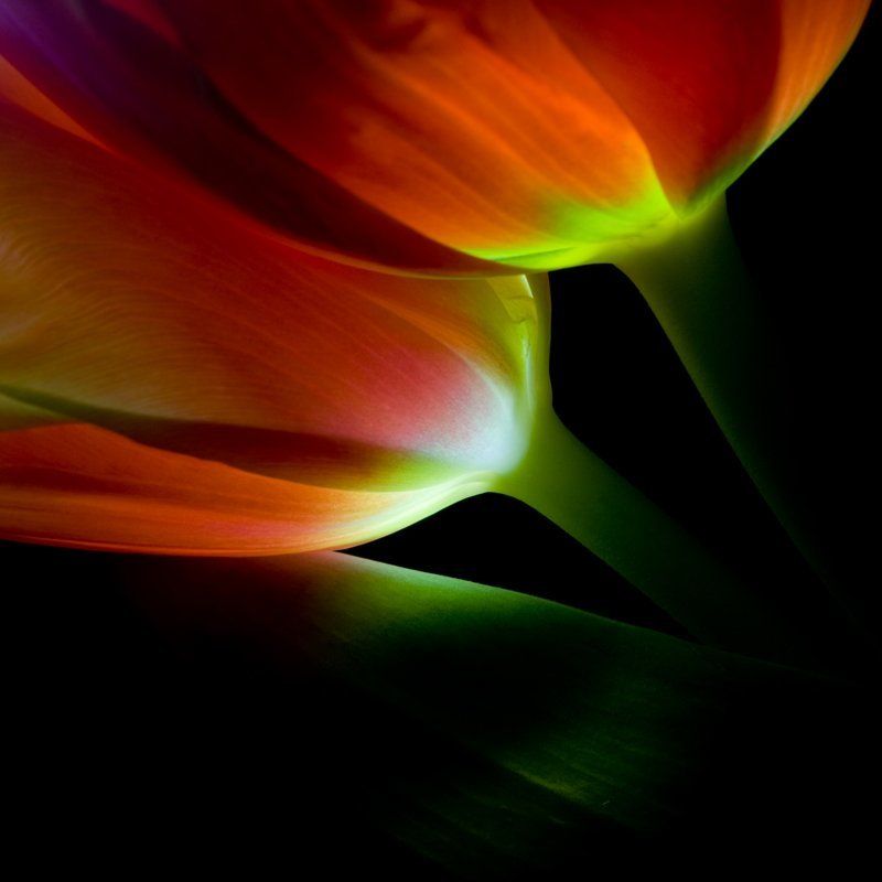 *** фото превью