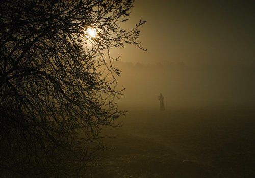 музыка ли рождает в нас свет,или свет будит мелодии в нашем сердце...