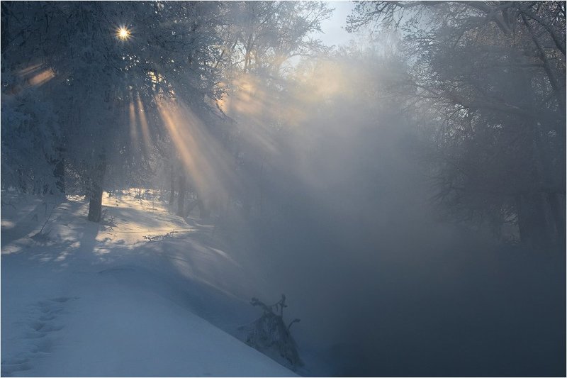 Путь к звезде фото превью