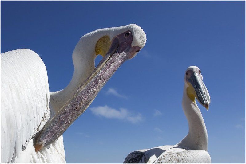 Глаза в глаза фото превью