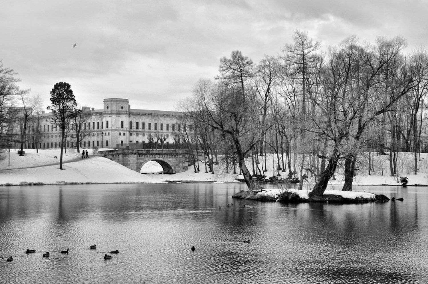 , Александр Ванюков