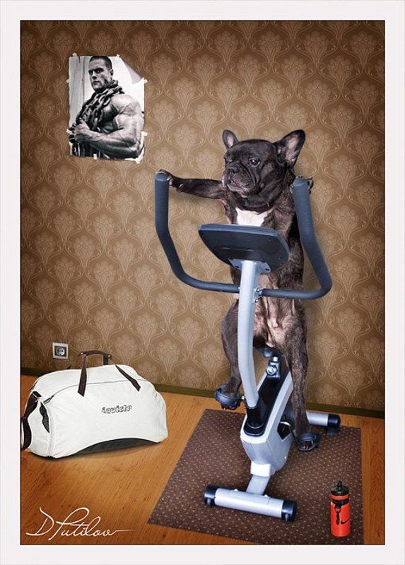 путилов, креатив, смысл, идея Стремление стать человеком фото превью