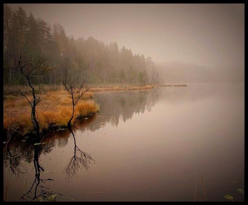 туман, озеро, осень, утро Осеннее утро на Лампиярви фото превью