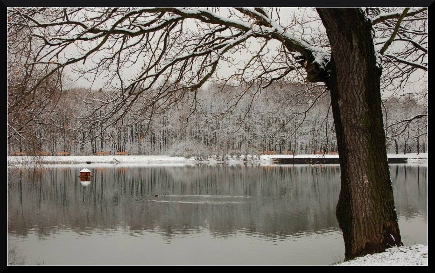 , &bull;**/ASSOL**&bull;