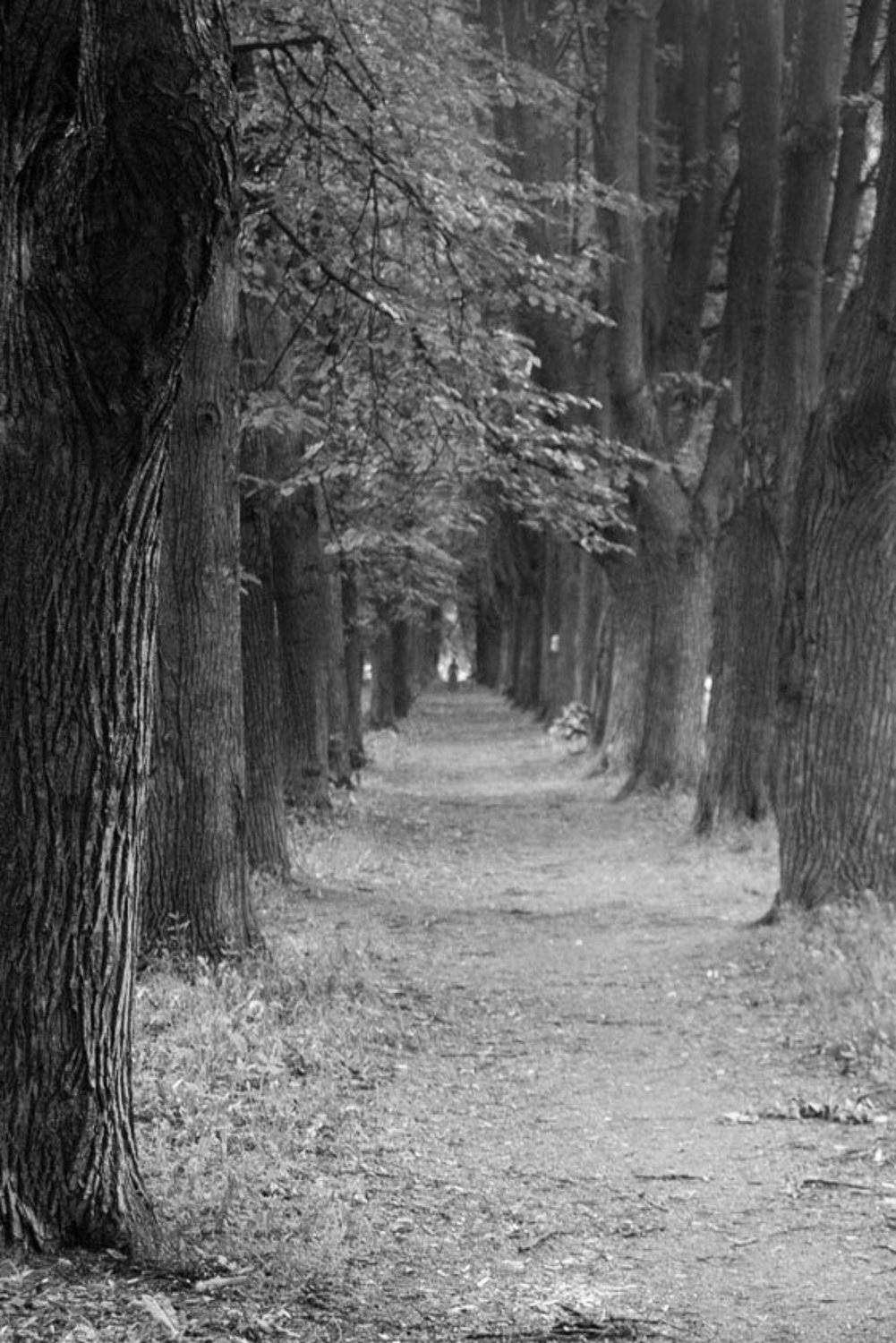 , Екатерина (PhotoJourneys.ru) Васягина