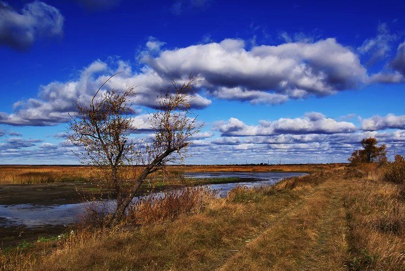 природа, зауралье *** фото превью
