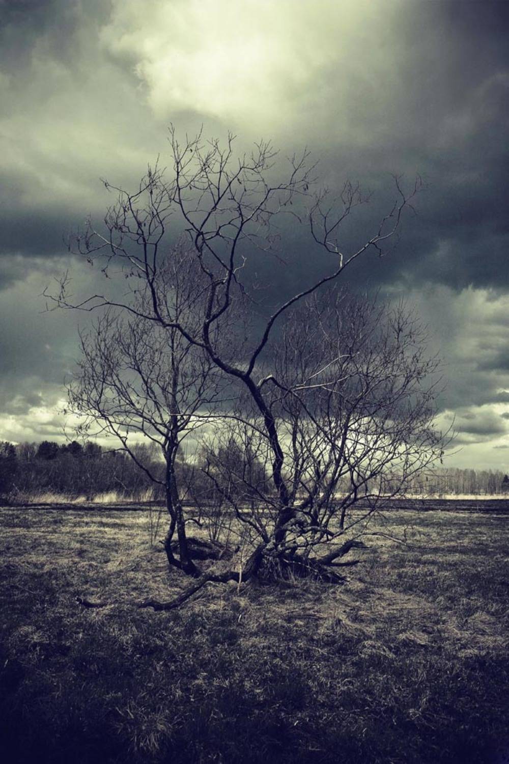 , Смирнов Павел