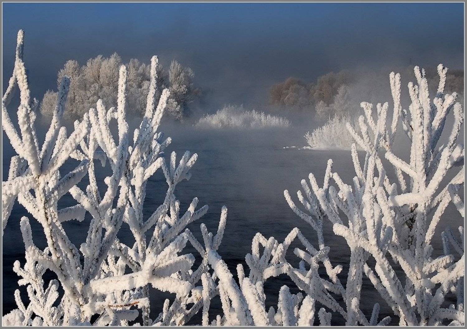 иртыш,зима,иней, Александр