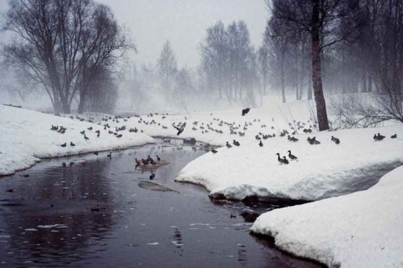 Foggy Day фото превью