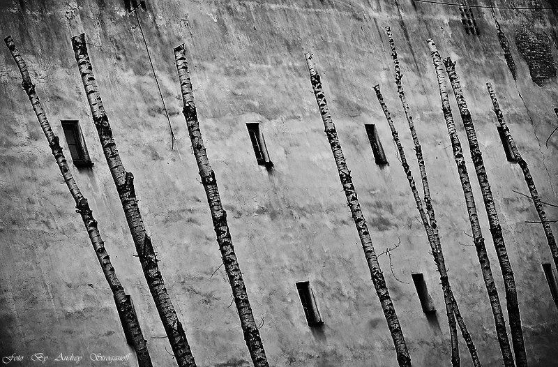 * * * фото превью