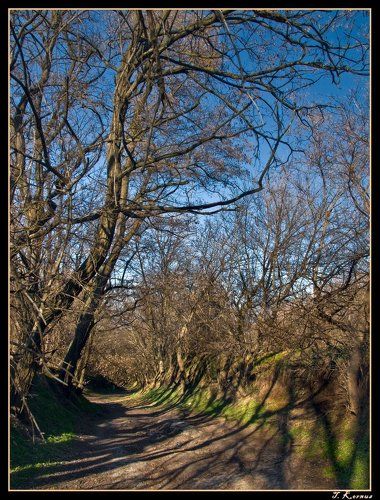 Заброшенная дорога