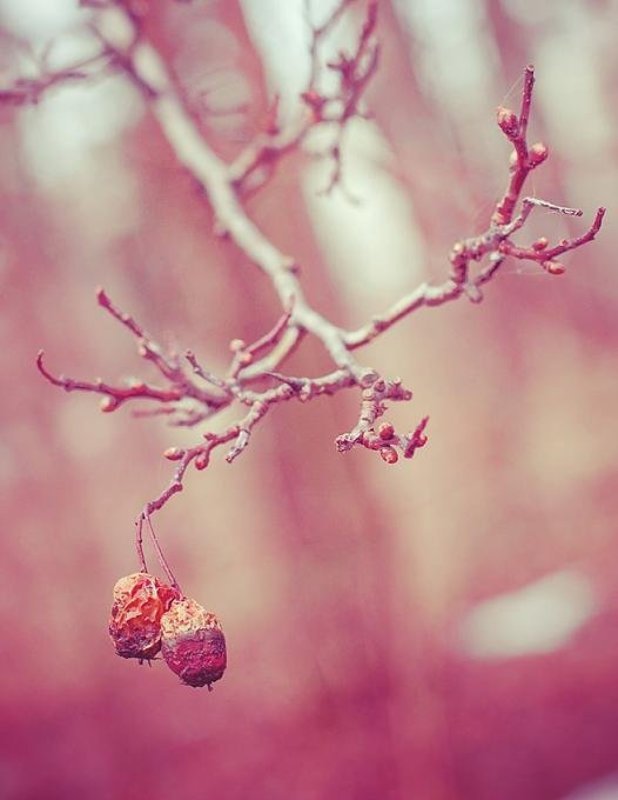 только ты и я фото превью