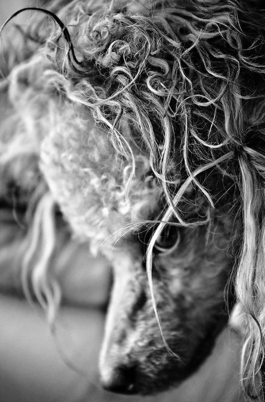 Джонни,будни... фото превью