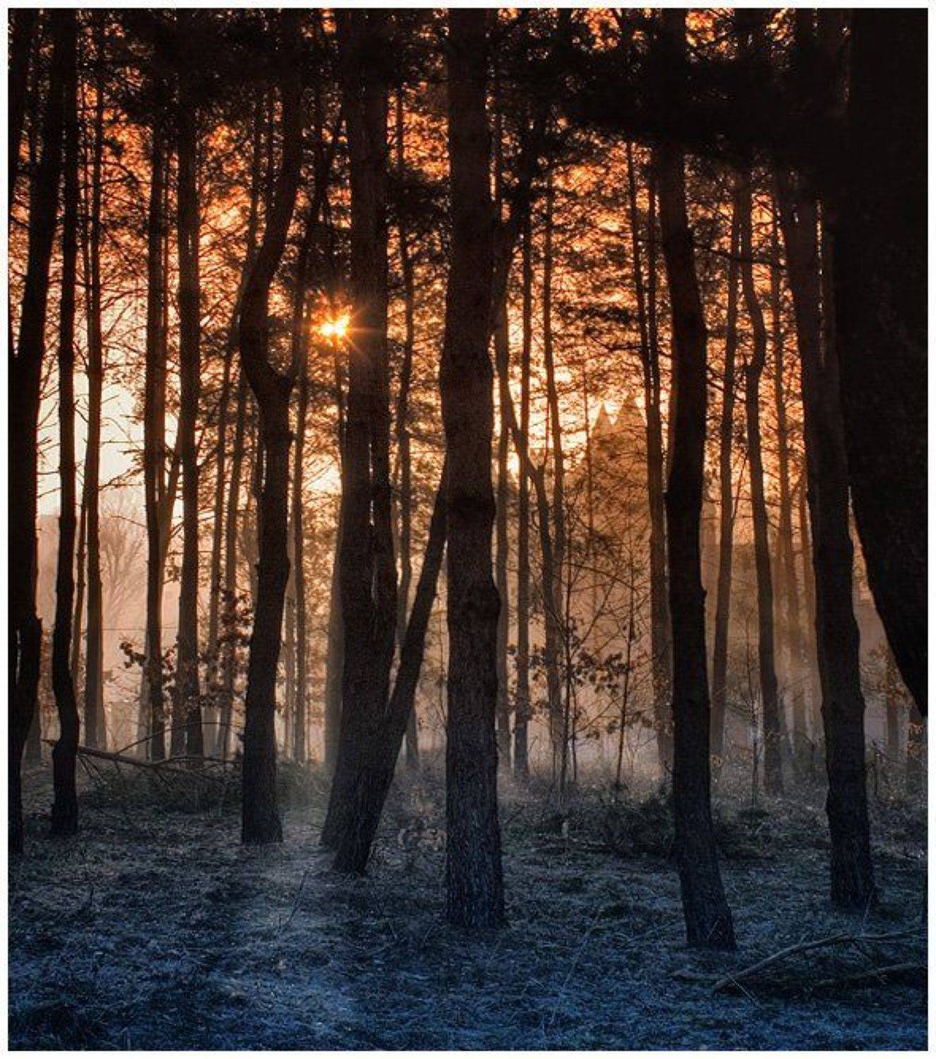 замок,рассвет,природа,заморозки,утро, Дмитрий Недочитанный