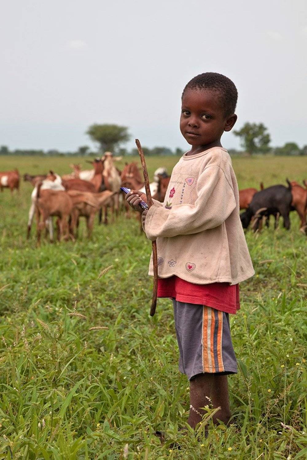 africa, tanzania, tarangire national park,  masai, safari, африка, люди, масаи, танзания, мальчик, пастушок, Роман Мурушкин