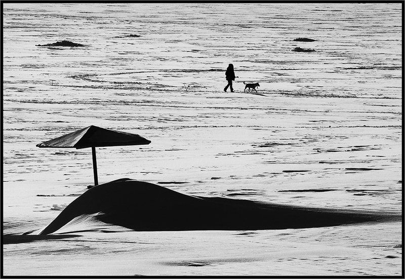 Друг человека фото превью