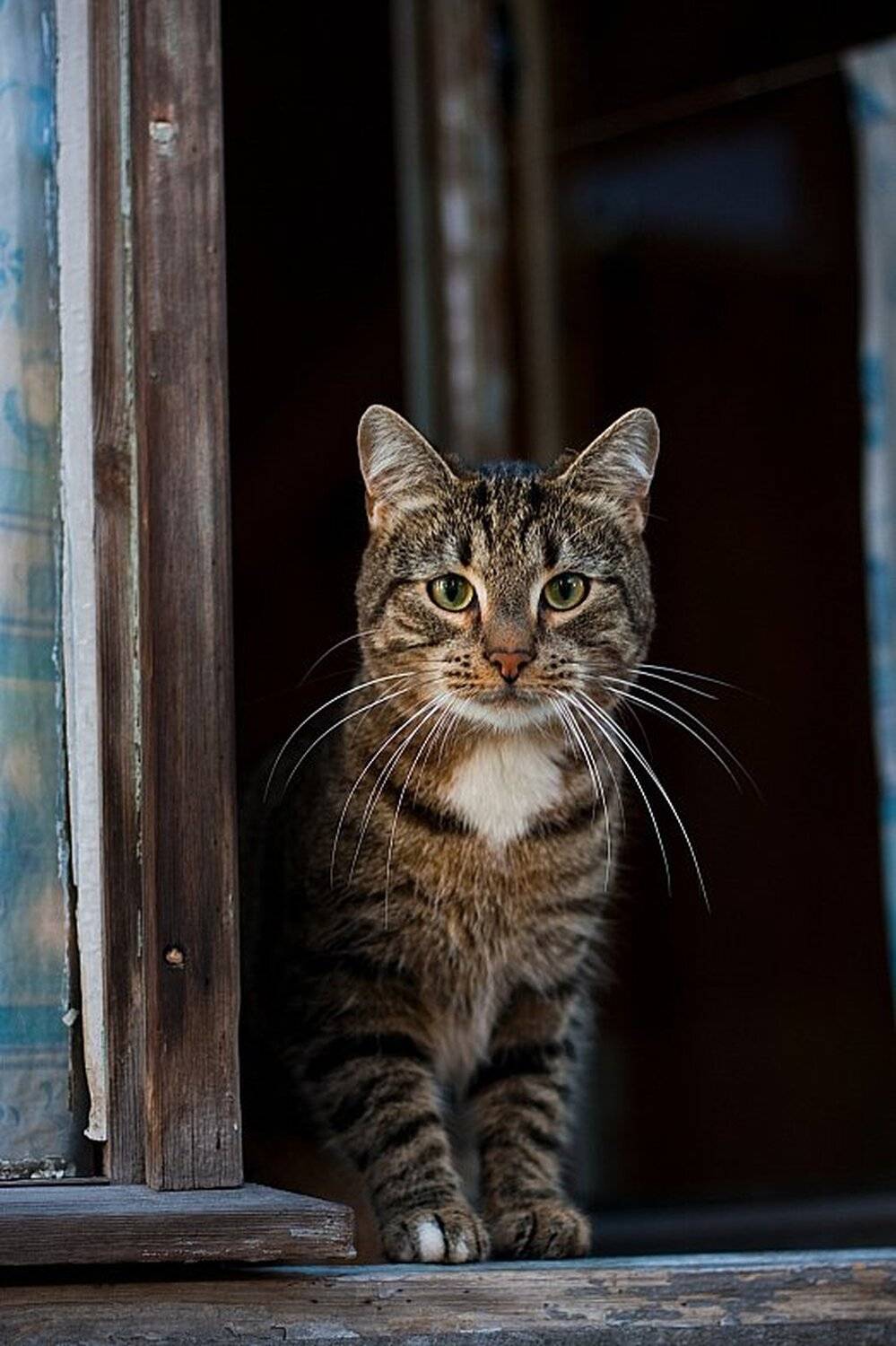 , Сергей Рябиченко