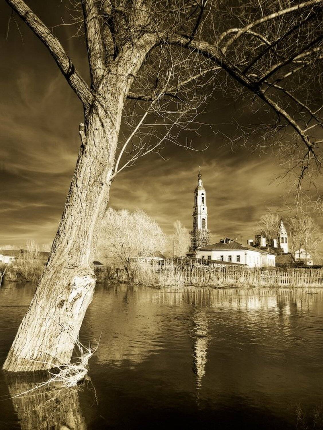 , Максим Евдокимов