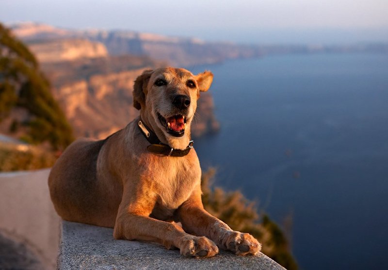 разговор фото превью