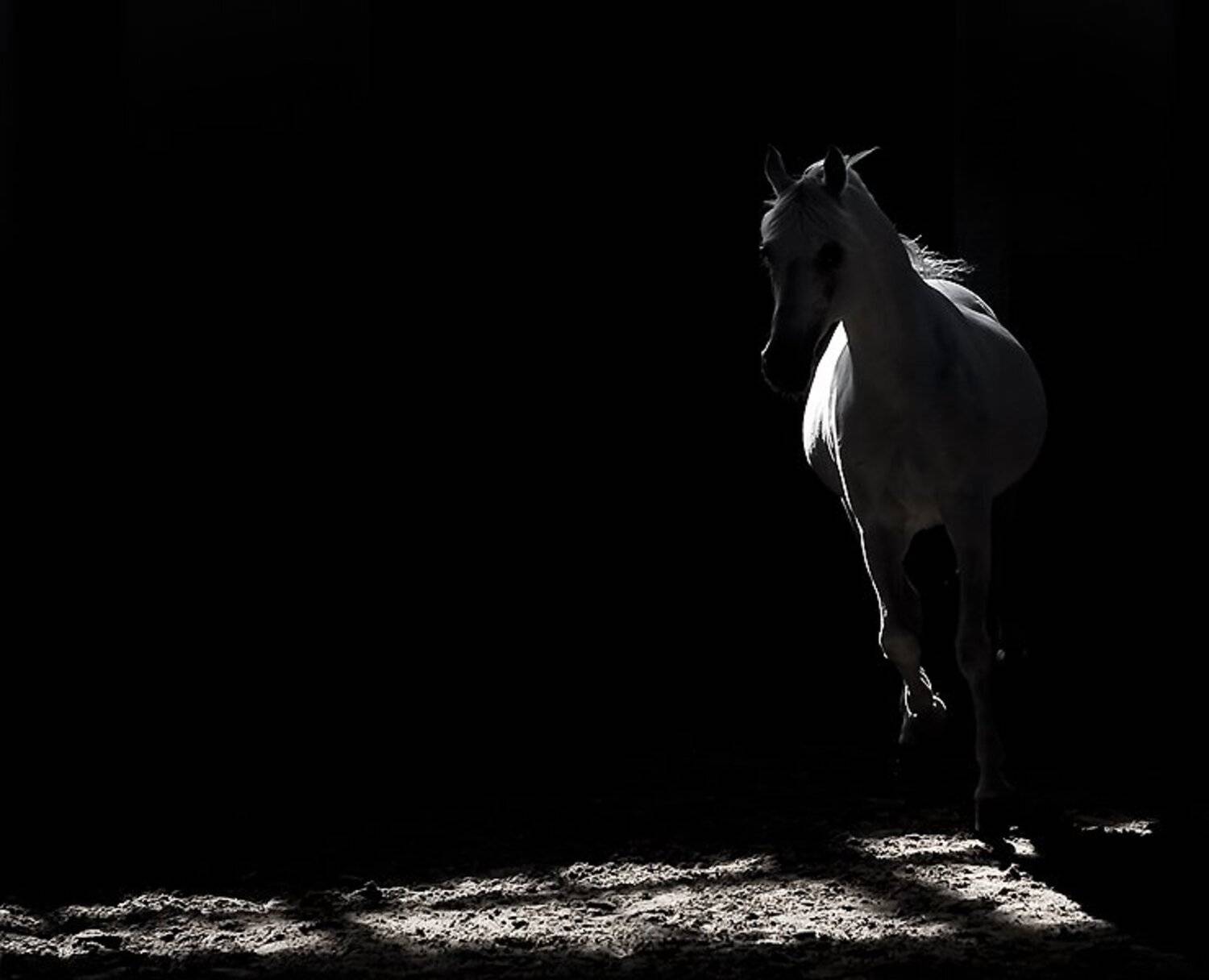 , Михаил Ступин