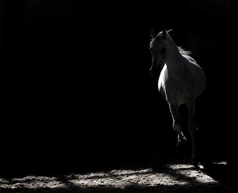 Бег фото превью