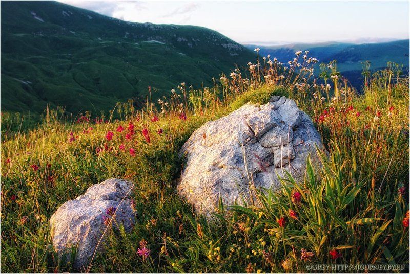 Последнее золото дня фото превью