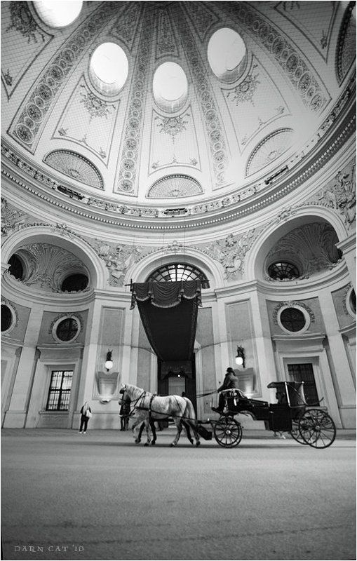 вена, австрия, город, люди, собор Прогулка по Вене фото превью