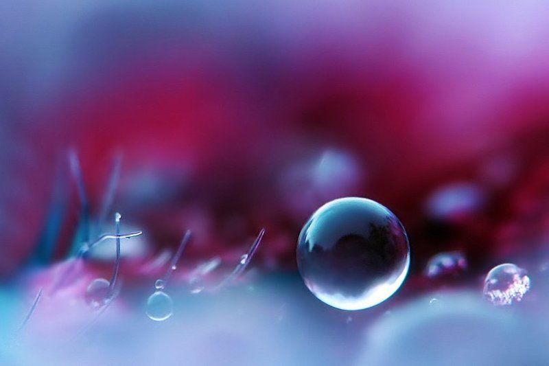 невесомость, капля, гвоздика невесомость фото превью