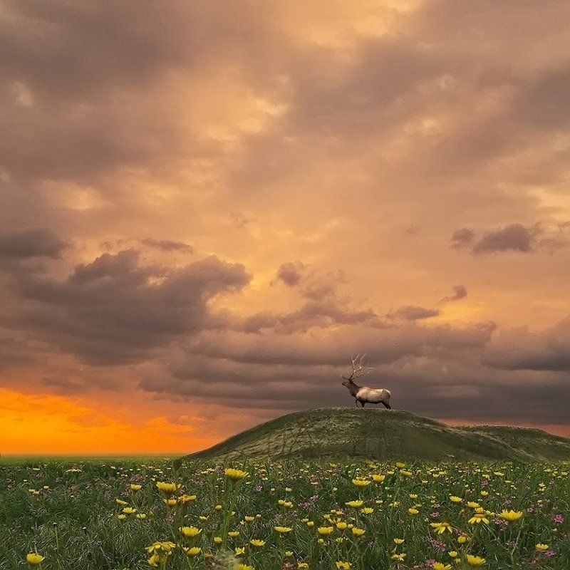 До начала времен. фото превью