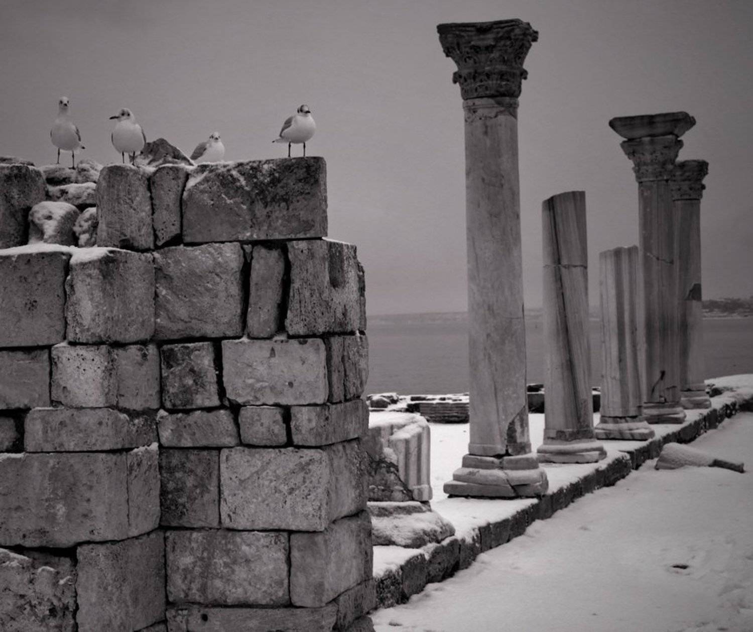 херсонес,колонны, Андрей  Золочевский