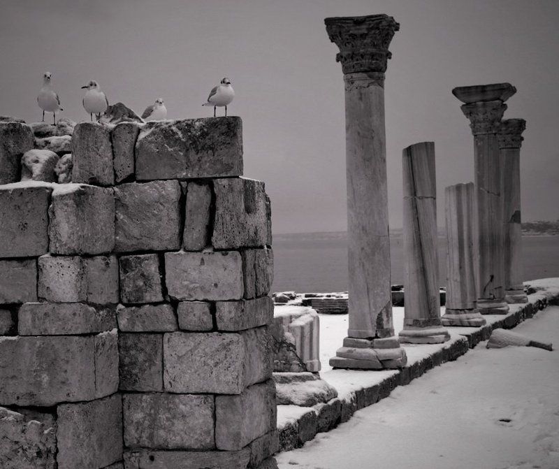 херсонес,колонны почитатели древности фото превью