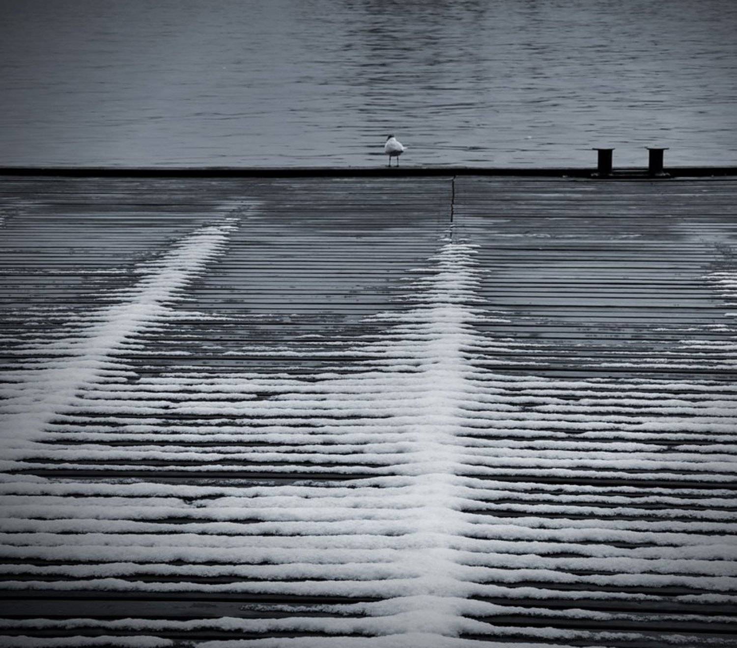 , Андрей  Золочевский