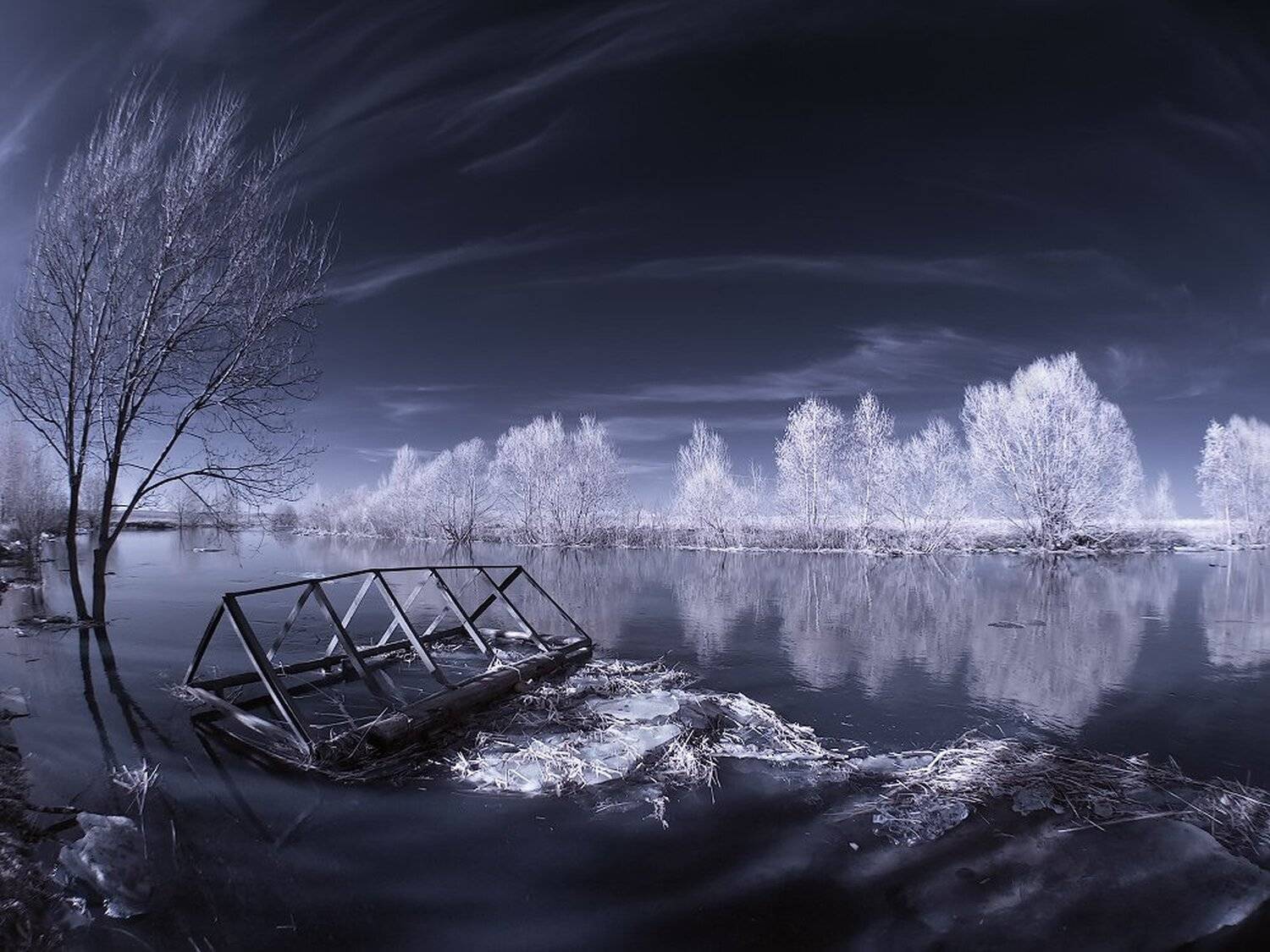 , Максим Евдокимов