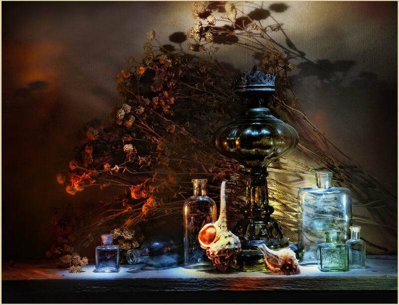 натюрморт, николай дмитрук