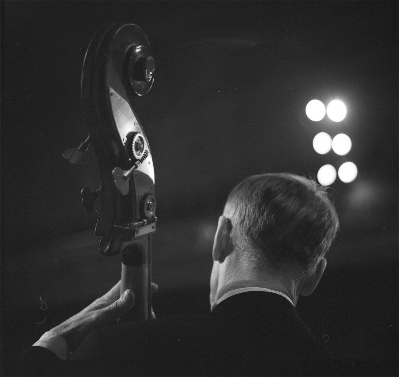 Репетиця оркестра-5 фото превью