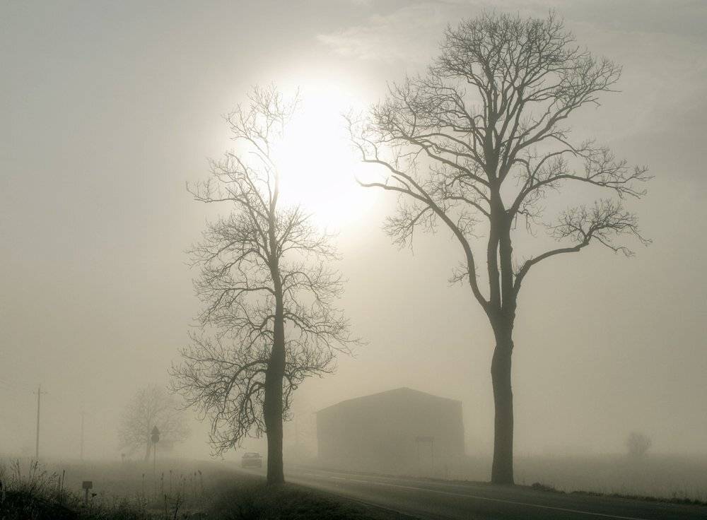 , Павел Дунюшкин
