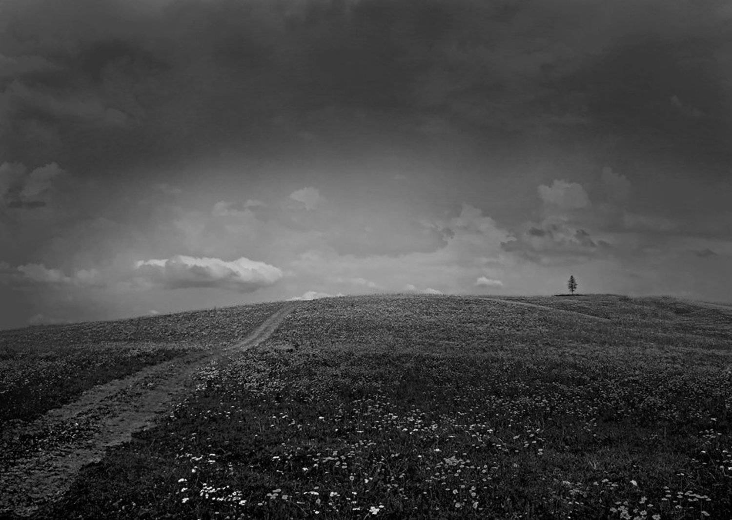 пейзаж,небо,дорога,поле, Андрей,любитель 35foto